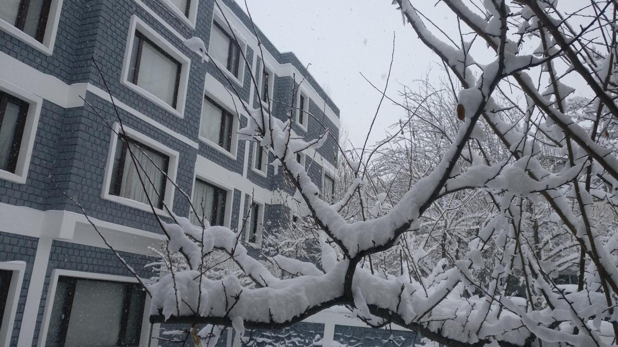 Hotel The Каргил Екстериор снимка